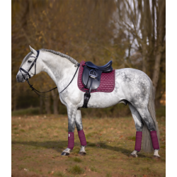 SOTTOSELLA EQUITAZIONE MONTA INGLESE SALTO O DRESSAGE TOULOUSE EFFETTO SETA GARRESE IMBOTTITO RIMOVIBILE
