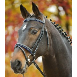 TESTIERA CUOIO CAVALLO MONTA INGLESE STAR DIAMOND