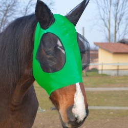 MASCHERA ANTIMOSCHE PER CAVALLO IN LYCRA COPRIORECCHIE IN RETE WINNER  VARI COLORI 