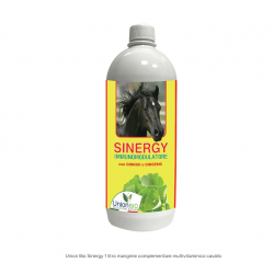 Union Bio Sinergy mangime complementare multivitaminico cavallo 1L