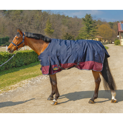 COPERTA WINNER DA PADDOCK 300G