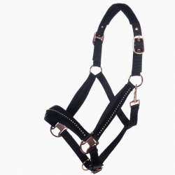 Capezza -Berry- HKM 