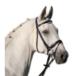 TESTIERA STAR LIFESTYLE CON REDINI IN TELA - Capezza da monta combinata inglese - Sovracapo diritto - Capezzina e frontalino con morbido rivestimento