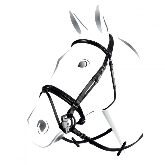 TESTIERA EQUITAZIONE MONTA INGLESE IN CUOIO EQUESTRO MODELLO POLISH LUCIDO CON REDINI