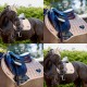 SOTTOSELLA PER CAVALLO SATINATI LeMieux LOIRE Satin Classic CC Chiudi Contact Square 