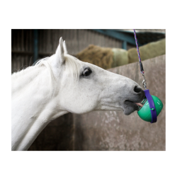 LIKIT BOREDOM BUSTER Raffinato supporto per 2 Likit da 250g. Da appendere nel box o nel paddock