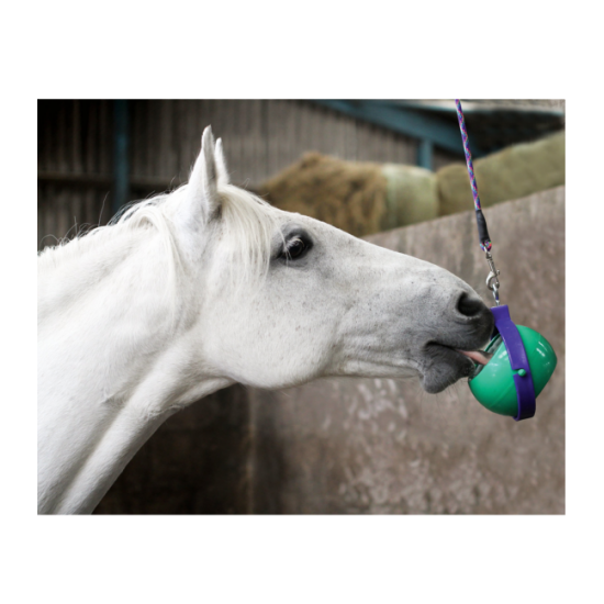 LIKIT BOREDOM BUSTER Raffinato supporto per 2 Likit da 250g. Da appendere nel box o nel paddock