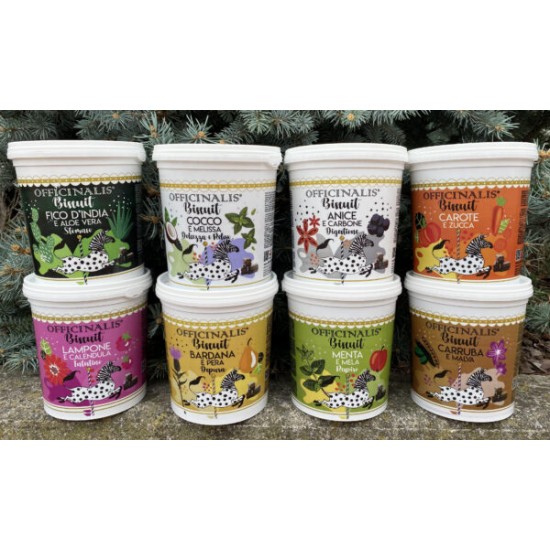 BISCOTTI OFFICINALIS BISCUIT 650G SECCHIELLO 