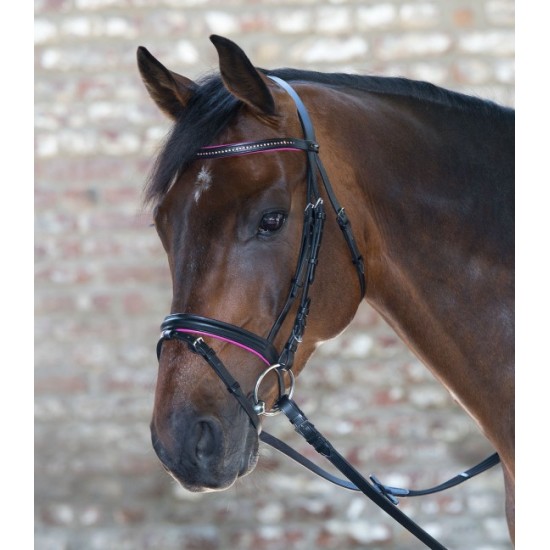 TESTIERA CUOIO CAVALLO MONTA INGLESE STAR DIAMOND