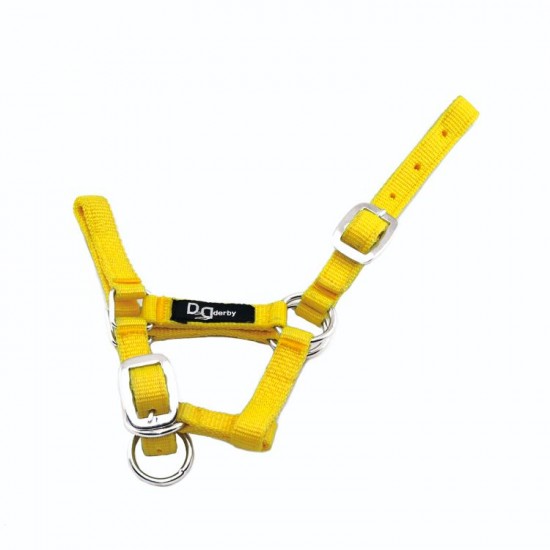 Capezza per puledri e pony Shetland e mini DOPPIA REGOLAZIONE varie taglie