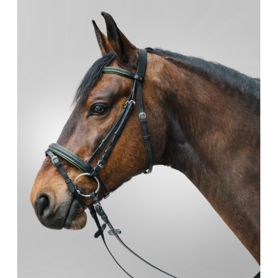 TESTIERA CUOIO CAVALLO MONTA INGLESE STAR DIAMOND