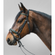 TESTIERA CUOIO CAVALLO MONTA INGLESE STAR DIAMOND