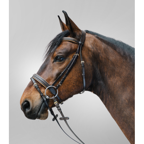 TESTIERA CUOIO CAVALLO MONTA INGLESE STAR DIAMOND