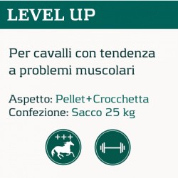 Mangime alimento Cortal LEVEL UP cavalli con tendenza a problemi muscolari Aspetto: PELLET+CROCCHETTA Confezione: Sacco da 25 kg PER ACQUISTO SUPERIORE AI DUE SACCHI INVIARE UNA MAIL CON QUANTITA, INDIRIZZO SPECIFICO E UN NUMERO DI TELEFONO