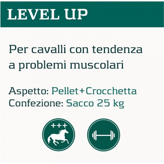 Mangime alimento Cortal LEVEL UP cavalli con tendenza a problemi muscolari Aspetto: PELLET+CROCCHETTA Confezione: Sacco da 25 kg PER ACQUISTO SUPERIORE AI DUE SACCHI INVIARE UNA MAIL CON QUANTITA, INDIRIZZO SPECIFICO E UN NUMERO DI TELEFONO
