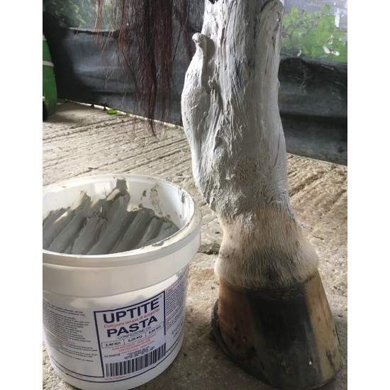 UPTITE pasta per tendini e zoccoli dei cavalli astringente e defaticante