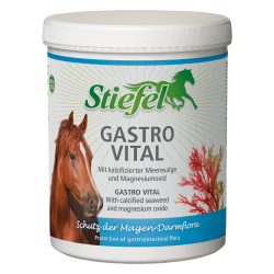INTEGRATORE PER LO STOMACO DEL CAVALLO Stiefel Gastro Vital 1kg