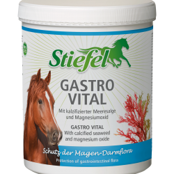 INTEGRATORE PER LO STOMACO DEL CAVALLO Stiefel Gastro Vital 1kg