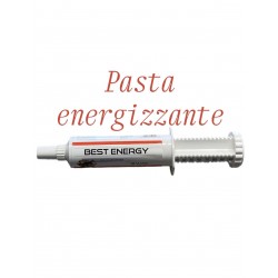 BEST ENERGY MASC PASTA ENERGIZZANTE PER CAVALLI