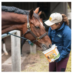 T.R.M. - Sandxpell 4 KG. Adatto per l’alimentazione come complemento nutrizionale per cavalli al paddock su fondi che presentano zone terrose.