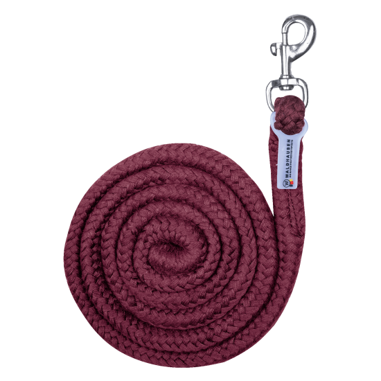 LUNGHINA PER CAVEZZA PER CAVALLO DA RIPOSO ECONOMIC - MOSCHETTONE A CARABINA lucido