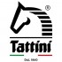 TATTINI