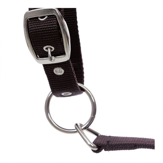 Capezza Equiline Timmy regolabile in polipropilene con morbida imbottitura in Neoprene. 
