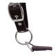 Capezza Equiline Timmy regolabile in polipropilene con morbida imbottitura in Neoprene. 