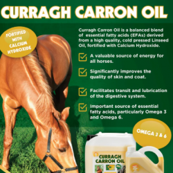 Curragh Carron Oil TRM 4,5 L Aggiungi Omega 3 e 6 alla dieta del tuo cavallo con Curragh Carron Oil: migliora pelo, salute e digestione, riduce infiammi e mantiene il sistema circolatorio in forma.