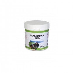 MASC POWERFULL GEL 250ML NEUTRO