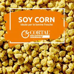 MANGIME SOYCORN Crocchetta estrusa energetica e proteica  È ideale per i cavalli che necessitano di uno sprint extra SACCO DA 25KG.  PER ACQUISTO SUPERIORE AI DUE SACCHI INVIARE UNA MAIL CON QUANTITA, INDIRIZZO SPECIFICO E UN NUMERO DI TELEFONO