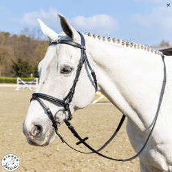Testiera per cavallo Morsetto Special WINNER briglia morso su frontalino