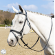 Testiera per cavallo Morsetto Special WINNER briglia morso su frontalino
