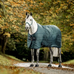 Coperta piumino box Amigo Ripstop Insulator Stable 200g 