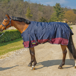 COPERTA WINNER DA PADDOCK 300G