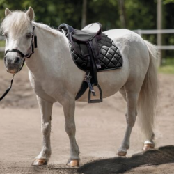 Set sella shetty -Lucy- HKM