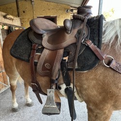 SELLA USATA Westwood (marca Le Selle Italiane) modello Lady Wade seggio 15, dotata di bucking rolls, arcione misura Full Quarter