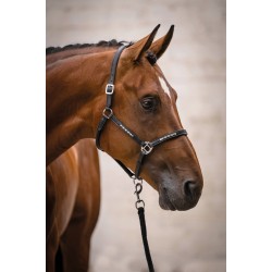 Capezza in cuoio -Sparkle- HKM con 