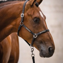 Capezza in cuoio -Sparkle- HKM con 