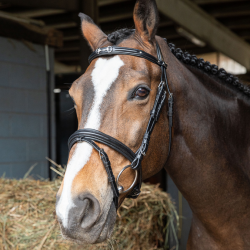 Testiera per cavallo Flash Morso Strass WINNER BRIGLIA con redini in gomma