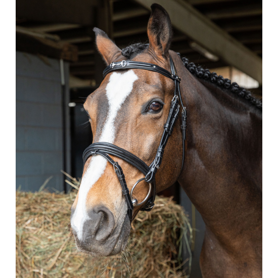 Testiera per cavallo Flash Morso Strass WINNER BRIGLIA con redini in gomma