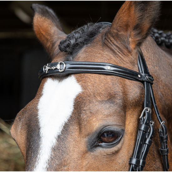 Testiera per cavallo Flash Morso Strass WINNER BRIGLIA con redini in gomma