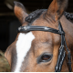 Testiera per cavallo Flash Morso Strass WINNER BRIGLIA con redini in gomma