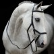 TESTIERA PER CAVALLO Rambo Micklem Competition Bridle BRIGLIA
