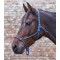 CAVEZZA PER CAVALLO MONTA WESTERN CON NODI WALDHAUSEN