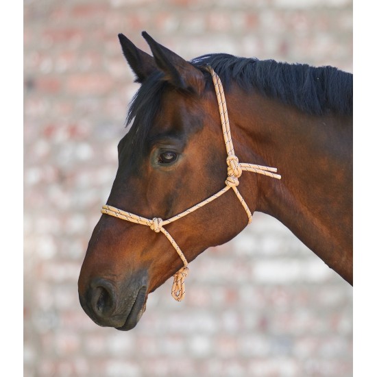 CAVEZZA PER CAVALLO MONTA WESTERN CON NODI WALDHAUSEN