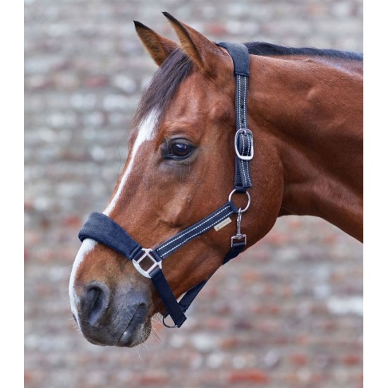 CAPEZZA PER CAVALLO ALCANTARA di alta qualità con frontalino leggermente imbottito e capezzina in alcantara