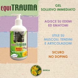 Equitrauma 1kg.l Arnica Per Cavalli Uso Umano - Gel Arnica Montana Pura 100% Bio, Pomata Super Forte, Crema Dolori, Muscolare Cavallo Dolore Ginocchio 