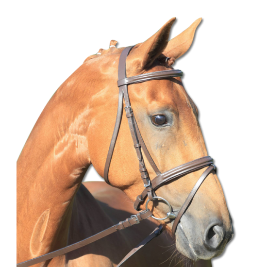TESTIERA STAR LIFESTYLE CON REDINI IN TELA - Capezza da monta combinata inglese - Sovracapo diritto - Capezzina e frontalino con morbido rivestimento