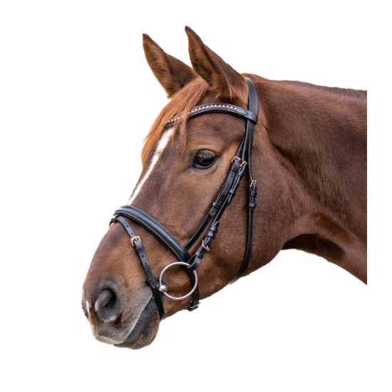 TESTIERA PER CAVALLO IN CUOIO STAR ROSEMARY CON FRONTALINNO TEMPESTATO DI BRILLANTI ROSA